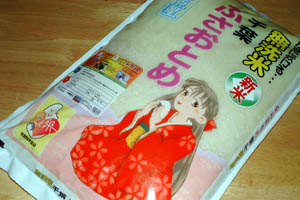 ӂƂ߂(*L`)